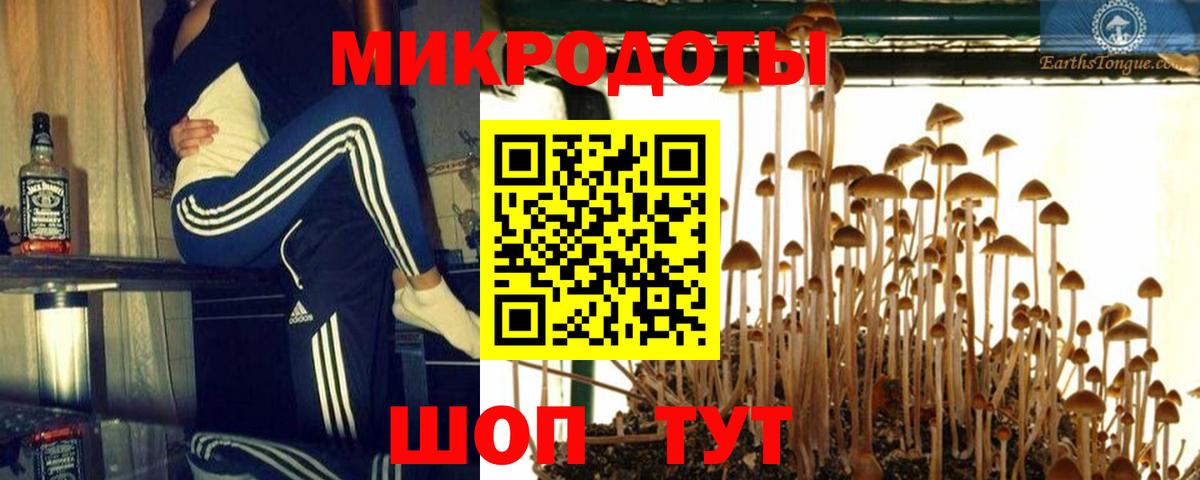 Галлюциногенные грибы мицелий Петропавловск-Камчатский