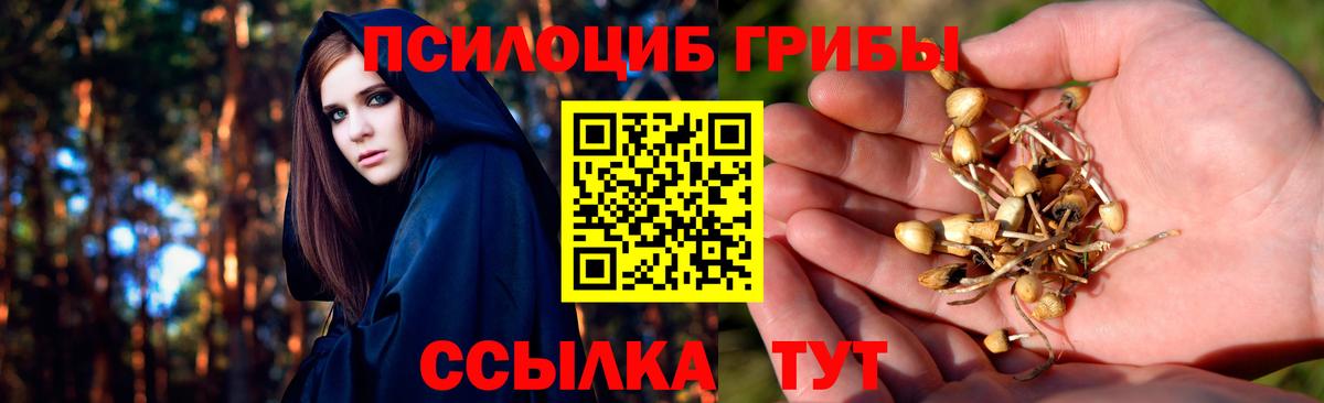 Псилоцибиновые грибы мухоморы  Вход с VPN  Псилоцибиновые грибы прущие грибы  Петропавловск-Камчатский 